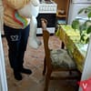 Store deilige bamser til barnerommet