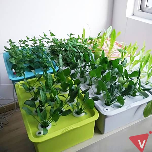 Hydroponisk plantekasse