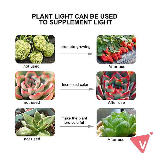 Plantelys
